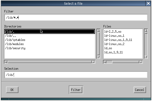 File selector (Linux, Motif)